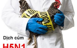 Campuchia có ca cúm A/H5N1, Viện Pasteur TP HCM ra công văn khẩn