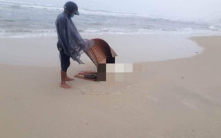 Phát hiện thi thể đang phân hủy dạt vào bờ biển Thừa Thiên- Huế