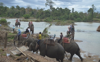 6 con voi nhà chính thức chấm dứt cõng khách