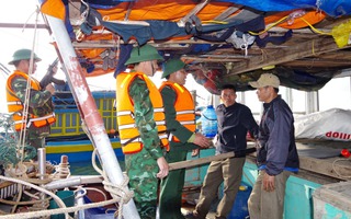 Bắt quả tang 8 tàu cá đánh bắt hải sản sai quy định