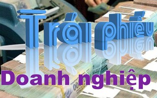 Một doanh nghiệp phát hành thành công 4.800 tỉ đồng trái phiếu