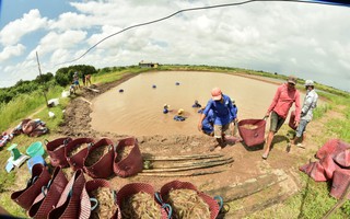 Tạo hướng đi bền vững cho ngành tôm