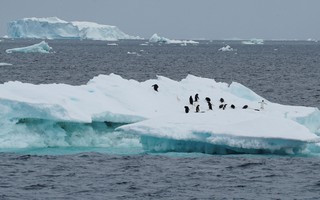 Mối đe dọa từ băng Nam Cực tan chảy nhanh