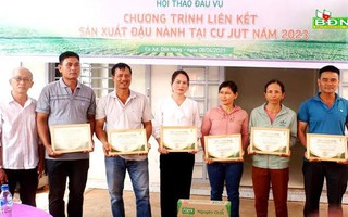 Nhiều nông dân huyện Cư Jut được trao chứng nhận thành viên Câu lạc bộ 3 tấn/ha