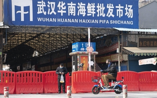 Nguồn gốc COVID-19: Trung Quốc công bố dữ liệu giật mình từ chợ Vũ Hán