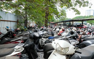 Hàng ngàn xe máy vi phạm "chất đống" khiến bãi xe quá tải