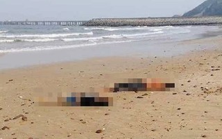 Phát hiện thi thể 2 nữ sinh trôi dạt vào bờ biển