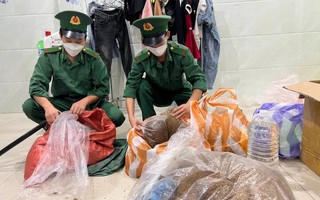 Triệt xóa “tổng kho” thảo mộc tẩm ma túy mới nổi tại Đà Nẵng