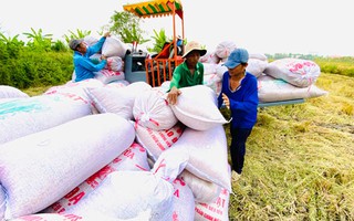 Nâng cao vị thế cho nông dân