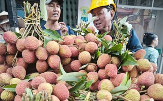 Vải thiều giá bình dân ngay từ đầu mùa