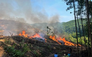 Nhiều hecta rừng ở Quảng Trị chìm trong biển lửa