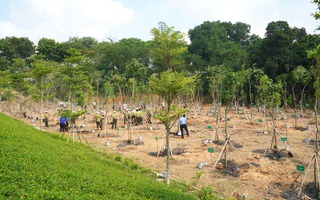 TP HCM: Phát động "Tết trồng cây đời đời nhớ ơn Bác Hồ năm 2023"