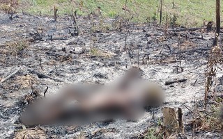 Phát hiện thi thể cháy đen ở Quảng Bình