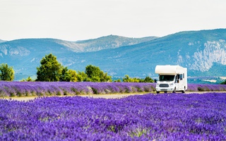 “Refresh” tinh thần hiệu quả ở những vườn lavender đẹp nhất thế giới