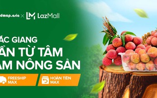 Dự kiến 50 tấn vải thiều sẽ được bán ra trên Lazada