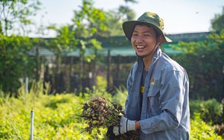 Hướng đi của Đạt Foods