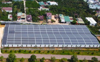 Lâm Đồng: Chỉ xem xét dự án điện mặt trời Tam Bố rộng 60 ha sau năm 2030