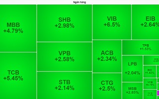 Cổ phiếu ngân hàng tăng sốc