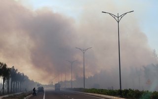 VIDEO: Rừng ven biển Quảng Nam cháy lớn