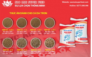 Dấu ấn đột phá của Sao Mai Super Feed