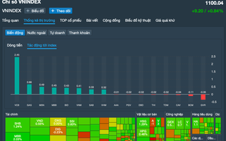 Cổ phiếu ngân hàng kéo VN-Index vượt 1.100 điểm