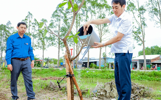 Lãnh đạo tỉnh Hậu Giang tham gia trồng cây xanh để bảo vệ môi trường