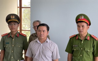 Vì sao giám đốc ban quản lý rừng phòng hộ ở Thừa Thiên - Huế bị bắt?