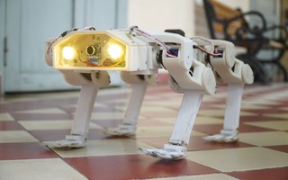 Robot chó cứu hộ tranh tài trên đất Mỹ