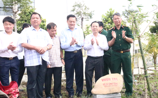 Cung tiến giống tre bên Lăng Chủ tịch Hồ Chí Minh trồng tại Đền thờ Vua Hùng ở Cần Thơ