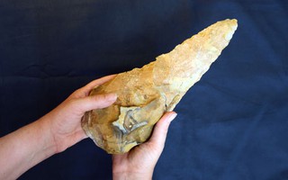 Đào được kho báu "sốc" 300.000 năm do loài người khác chôn giấu