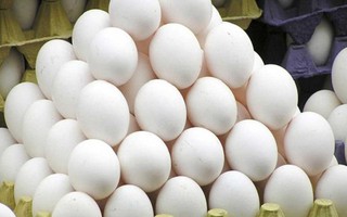 Giá trứng tăng sốc