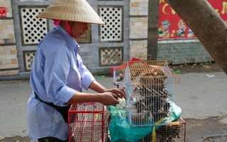 "Công nghệ" phóng sinh