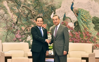 Phó Thủ tướng Trần Lưu Quang hội kiến Ngoại trưởng Vương Nghị