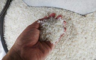 Một cổ phiếu ngành gạo tăng giá gần gấp 3 lần chỉ trong 2 tuần