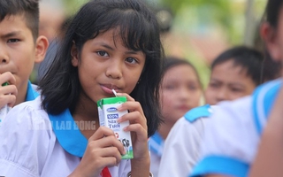 Bất ngờ lý do Quảng Nam không thể chi 150 tỉ mua sữa cho học sinh miền núi