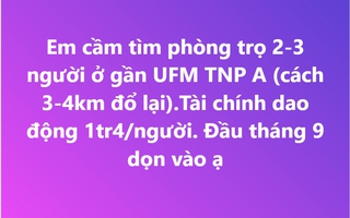 Sinh viên "dàn trận" tìm trọ online