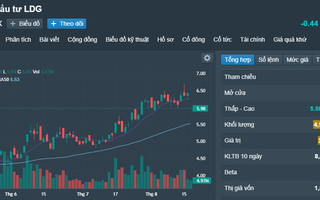 Chủ tịch LDG bị đình chỉ giao dịch chứng khoán 4 tháng