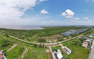 UNESCO đề nghị cung cấp thông tin Khu bảo tồn Tiền Hải bị thu hẹp 90% diện tích