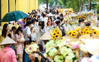 Người dân đổ về tuyến phố 3 hàng cây xanh mát ở thủ đô "săn" ảnh đẹp ngày Tết Độc lập