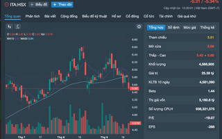 Động thái của Đặng Thị Hoàng Yến ngay khi cổ phiếu ITA được gỡ “lệnh” cảnh báo - kiểm soát