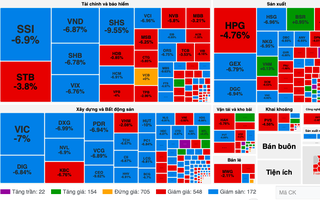 Cổ phiếu giảm sàn hàng loạt khi VN-Index mất gần 40 điểm