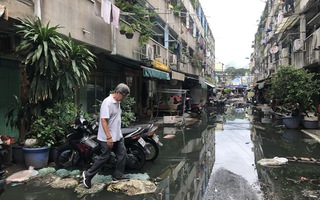 Hư cống thoát nước, khu chung cư ngập cả ngày cả đêm