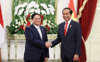 Tổng thống Joko Widodo hoan nghênh Vinfast đầu tư tại Indonesia