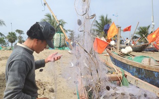 Ngư dân Sầm Sơn vào mùa cá khoai, thu tiền triệu mỗi ngày