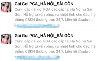 Lập nhóm "Gái gọi PGA Hà Nội-Sài Gòn" trên mạng xã hội để lừa đảo