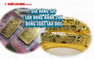 Giá vàng SJC, vàng nhẫn 24k đồng loạt lao dốc