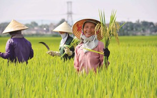 Quảng Bình bất ngờ xin rút khỏi danh sách đề nghị hỗ trợ gạo cứu đói