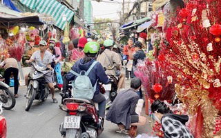 Chợ hoa Tết lớn nhất TP HCM bắt đầu nhộn nhịp