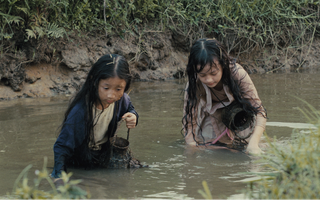 "Ngôi sao" phòng vé ít ai ngờ