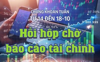 Chứng khoán tuần 14 đến 18-10: Hồi hộp chờ báo cáo tài chính